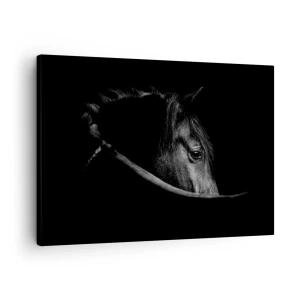 Canvas picture - A black and white portrait of a horse with a subtle play of light and shadow against a dark background. - 70x50cm - Black Prince - Modern wall decoration for the living room and bedroom ARTTOR