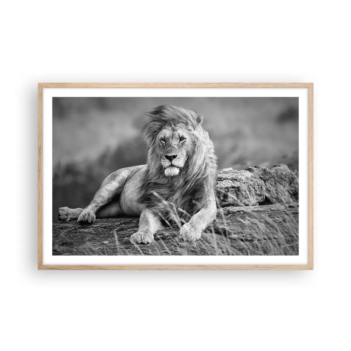 Poster in light oak frame - Royal Siesta - 91x61 cm