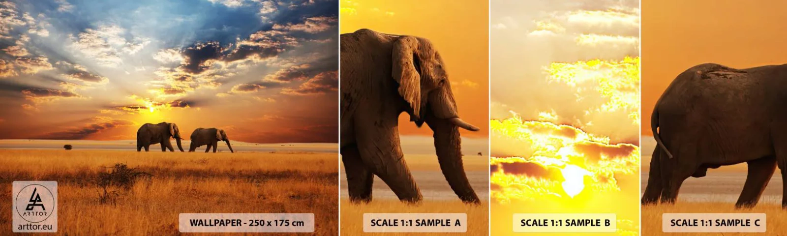 Photo Wallpaper Sample Self-Adhesive Deluxe Sticker - Family Walk - Animals, Africa, Elephant - 100x30 cm