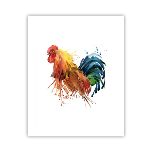 Poster - King Rooster - 40x50 cm