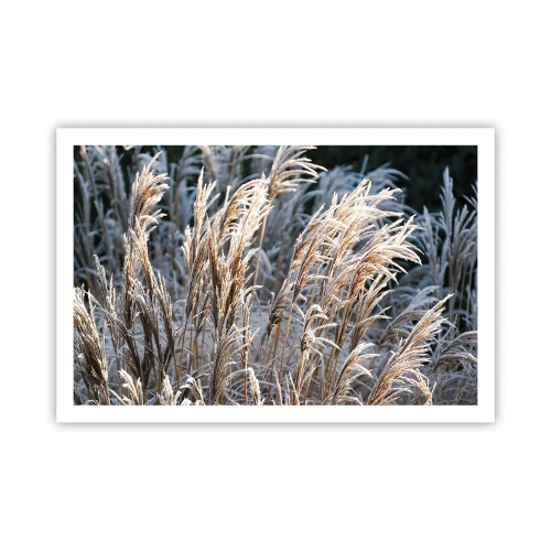 Poster - Decorated with Frost - 91x61 cm
