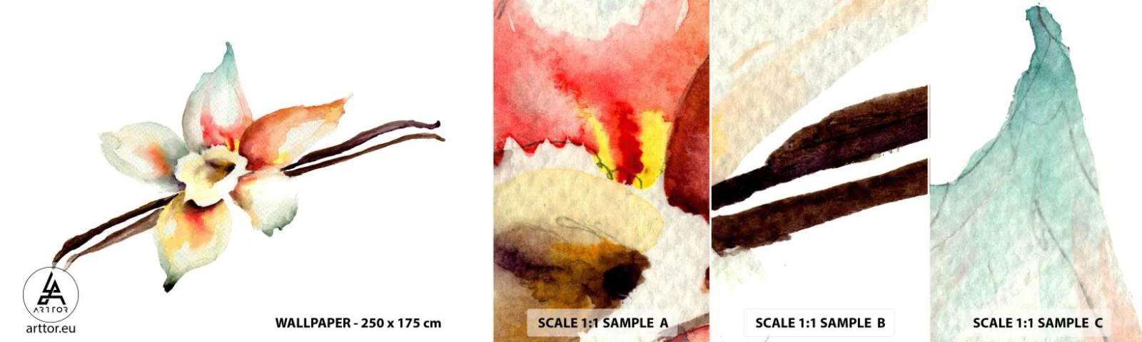 Photo Wallpaper Sample Standard Eco - Sweetness Painted - Vanilla Flower, Flower, Vanilla stick - 100x30 cm