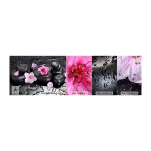 Photo Wallpaper Sample Standard Eco - Black Zen Stones - Flowers, Asia, Spa - 100x30 cm