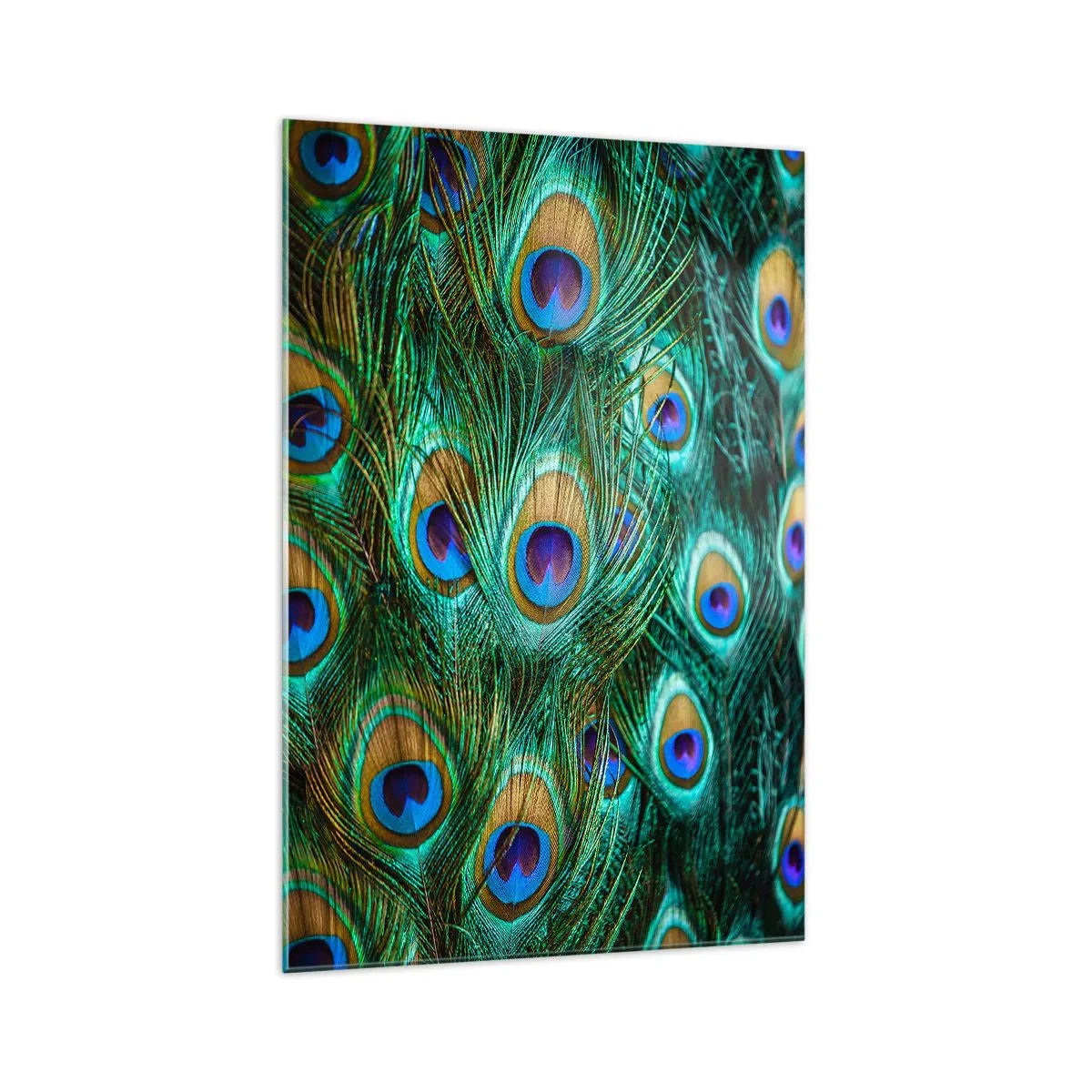Glass picture - Peacock Eyes - 70x100 cm