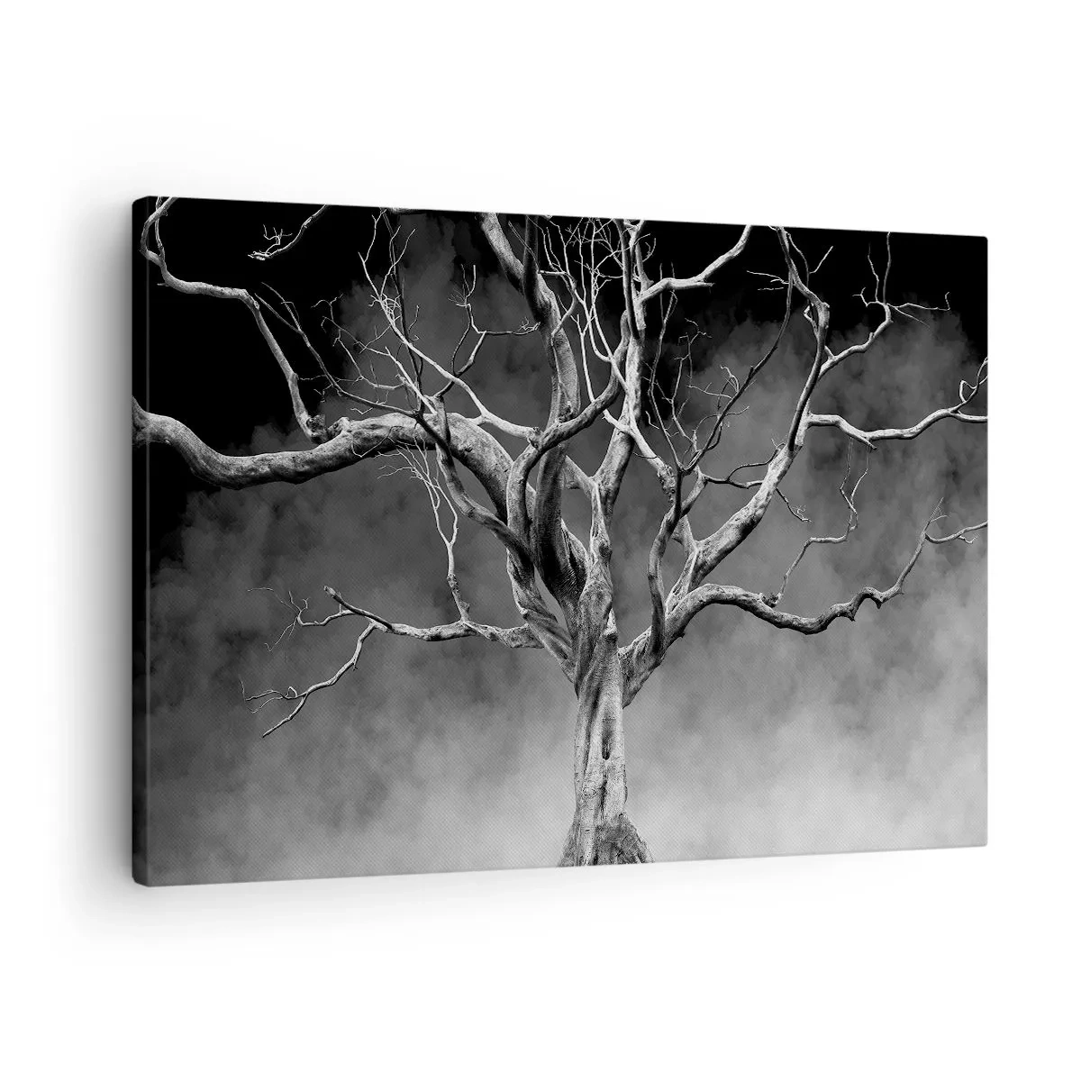 Canvas picture - A dry tree in black and white against the fog - 70x50cm - Primordial and Sacred - Modern wall decoration for the living room and bedroom ARTTOR