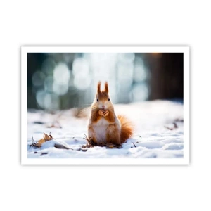Poster - What Are You Looking at? - 100x70 cm