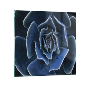 Glass picture - Flower of the Desert - 70x70 cm