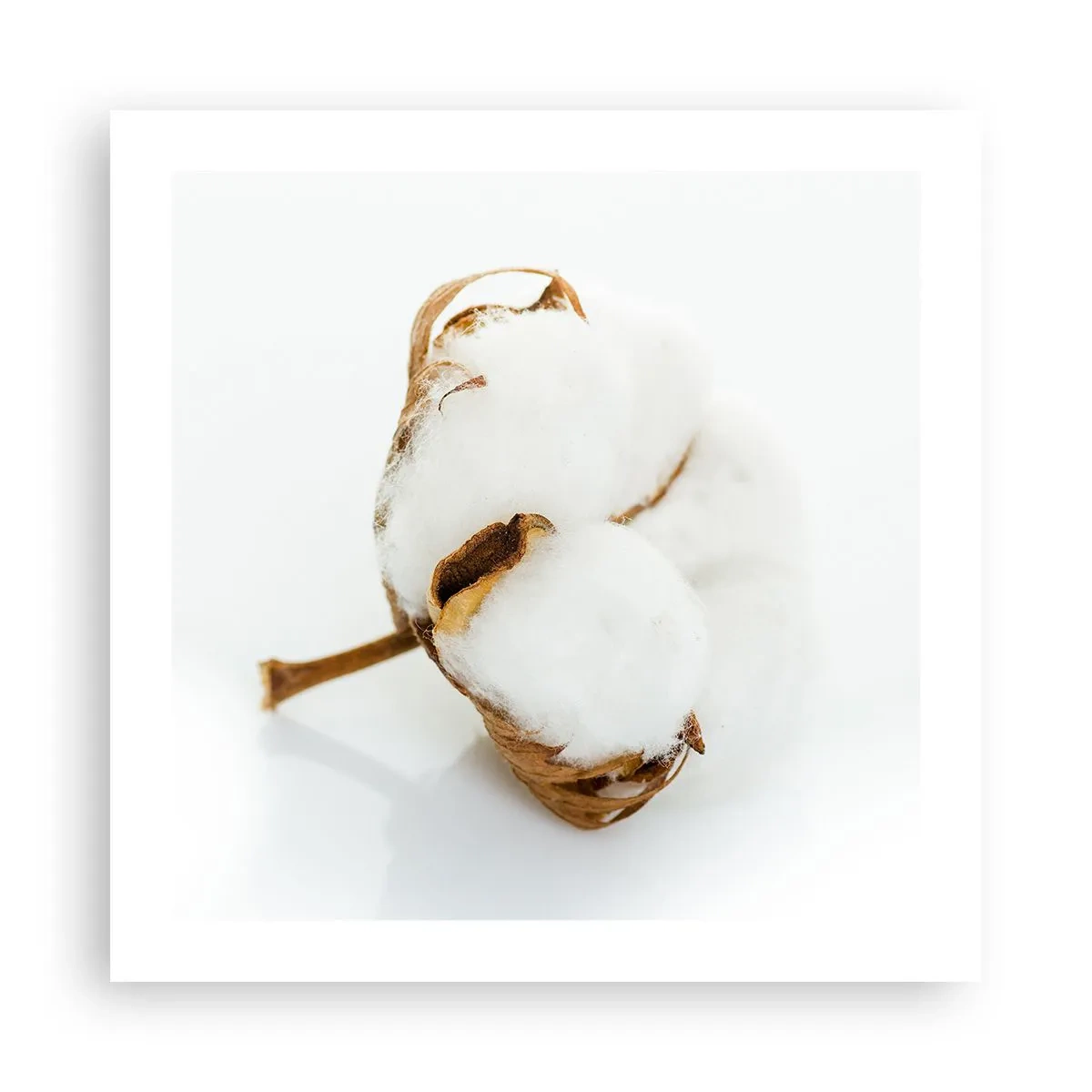 Poster - Soft By Nature - 50x50 cm