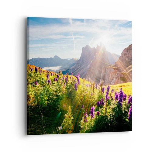 Canvas picture - Secret Life of Herbs - 30x30 cm