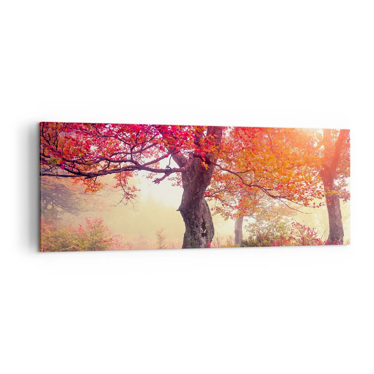 Canvas picture - In Full Bloom - 140x50 cm