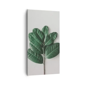 Canvas picture - Drawing of Nature Itself - 55x100 cm