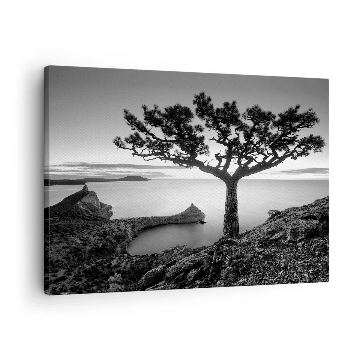 Canvas picture - Black and white landscape with a lonely tree on a cliff above the sea - 70x50cm - Quiet All Around - Modern wall decoration for the living room and bedroom ARTTOR
