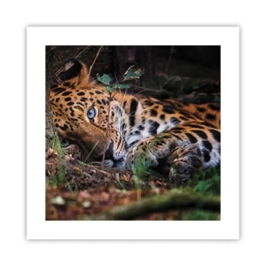 Poster - Trust Me - 40x40 cm