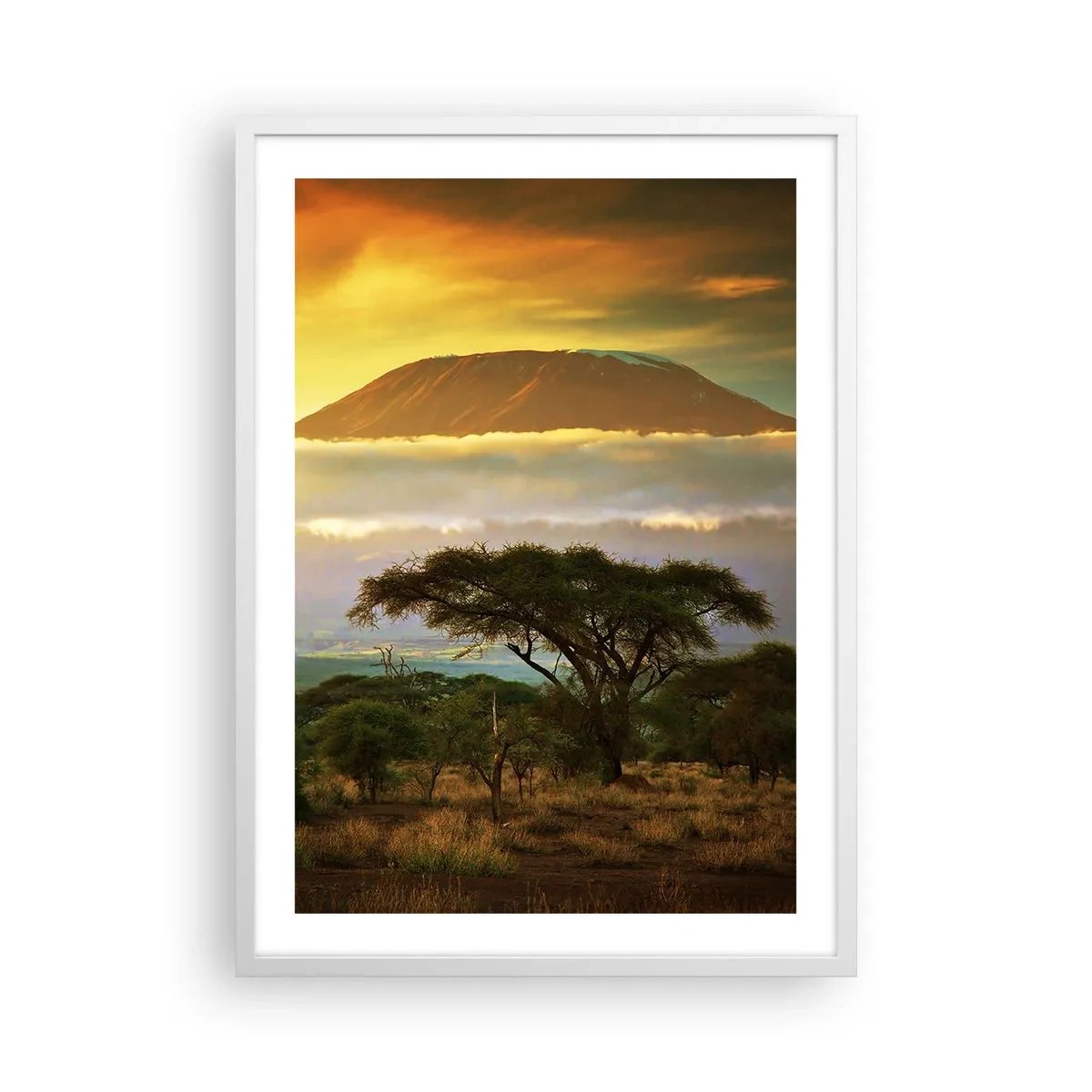 Poster in white frmae - Traveller's Dream - 50x70 cm