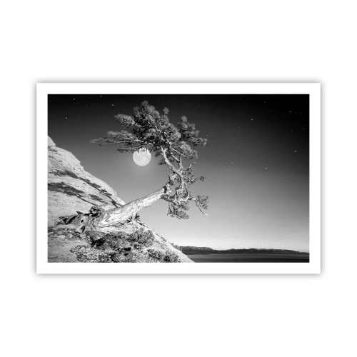 Poster - Winning Warrior - 91x61 cm