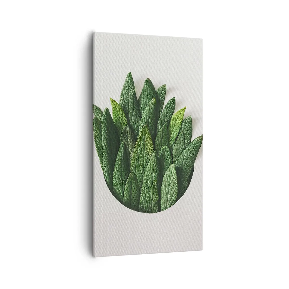 Canvas picture - Untamed Curiosity - 55x100 cm