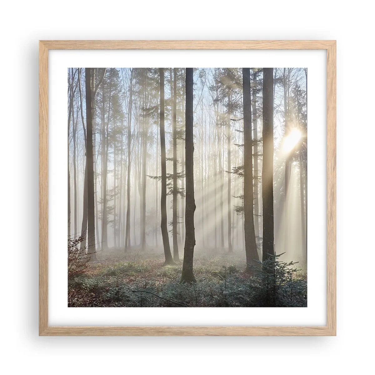 Poster in light oak frame - Fog Has Woken up Too - 50x50 cm