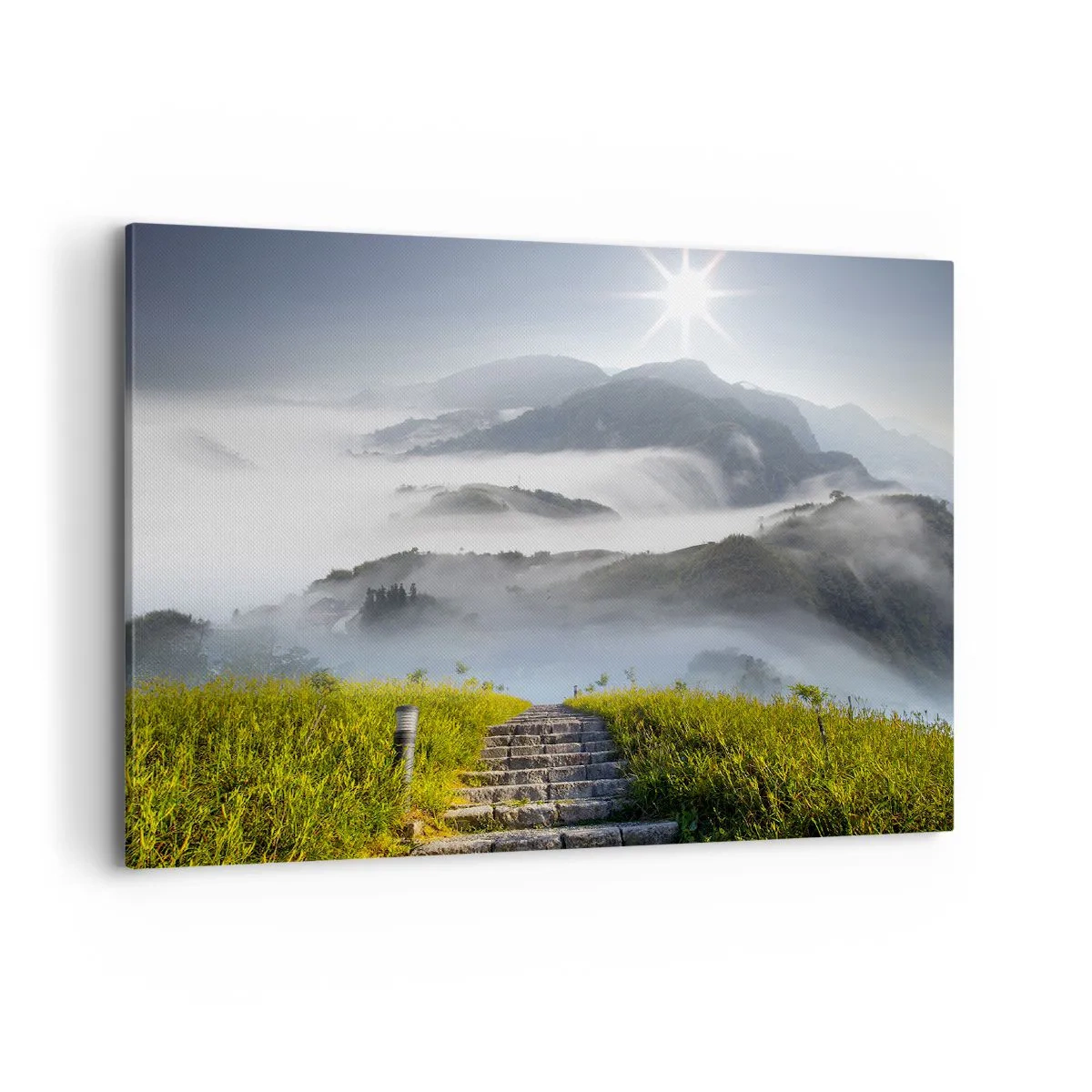 Canvas picture - Upwards towards the Clouds - 100x70 cm