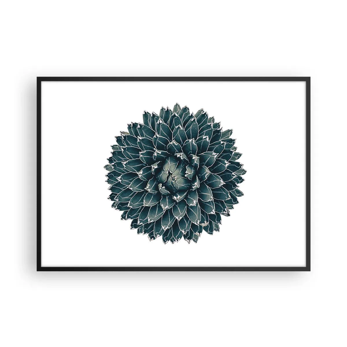 Poster in black frame - Star of the Desert - 100x70 cm