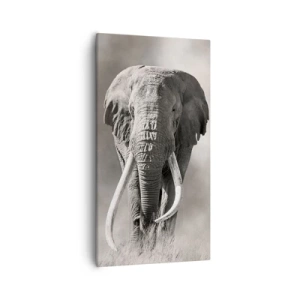 Canvas picture - African Patriarch - 55x100 cm