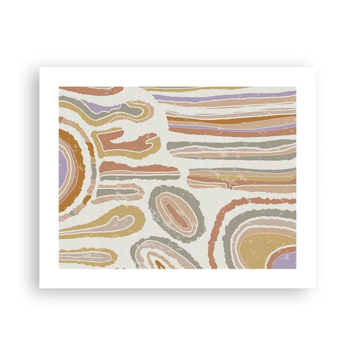 Poster - Colourful Cross-Sections - 50x40 cm