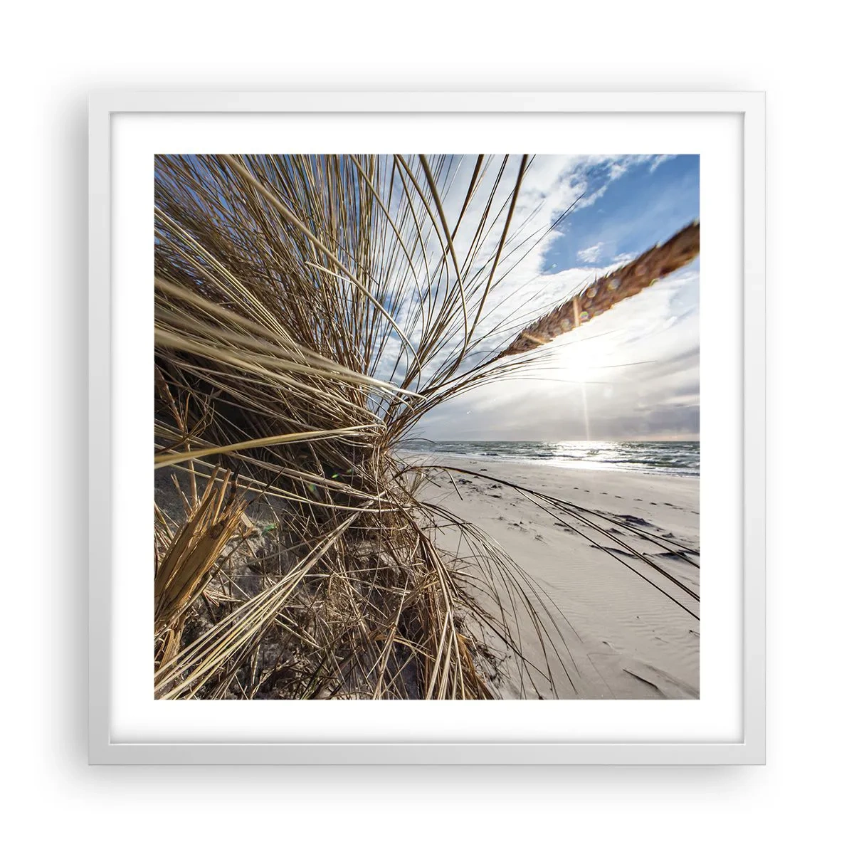 Poster in white frmae - Enounter of the Elements - 50x50 cm