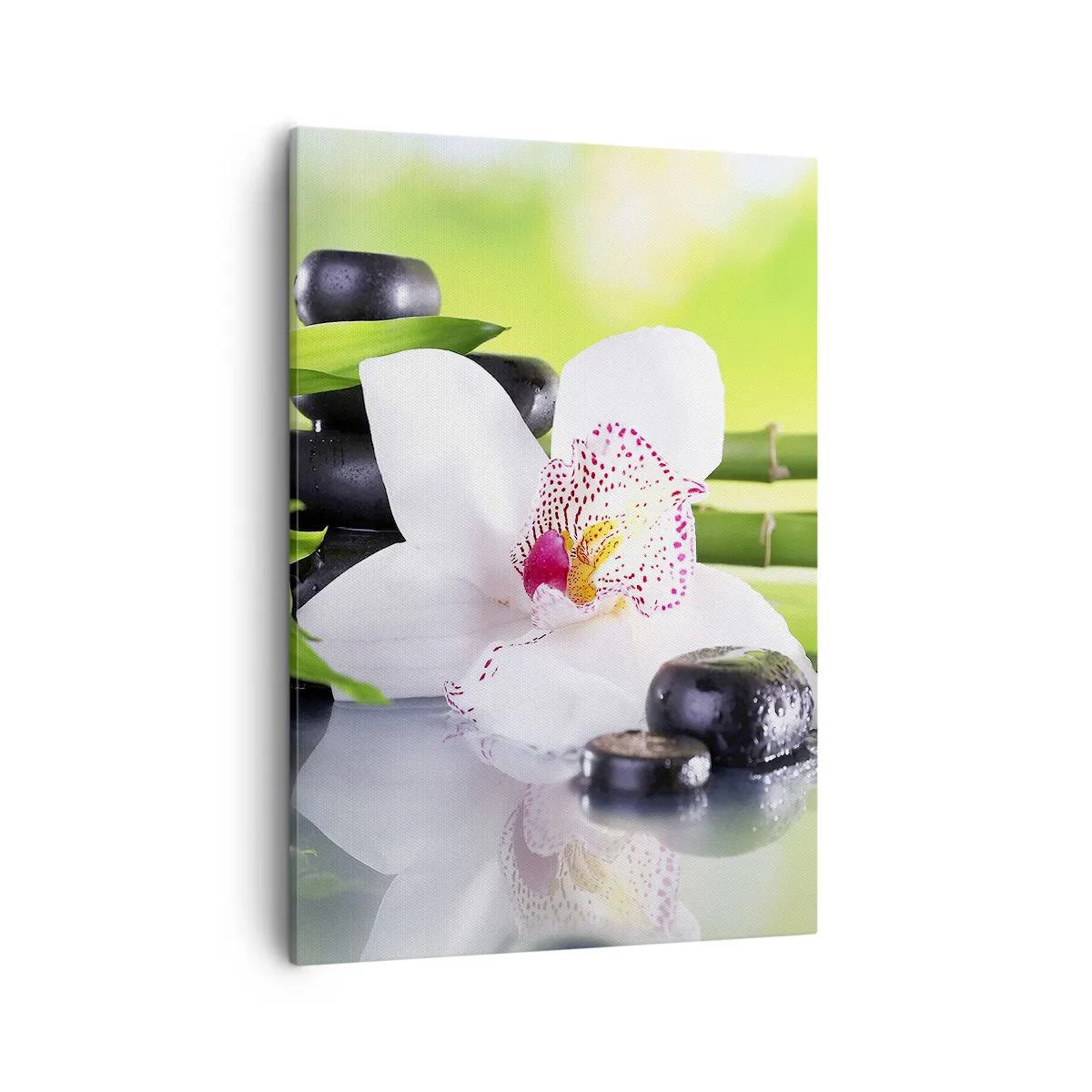 Canvas picture - Cool Freshness - 50x70 cm