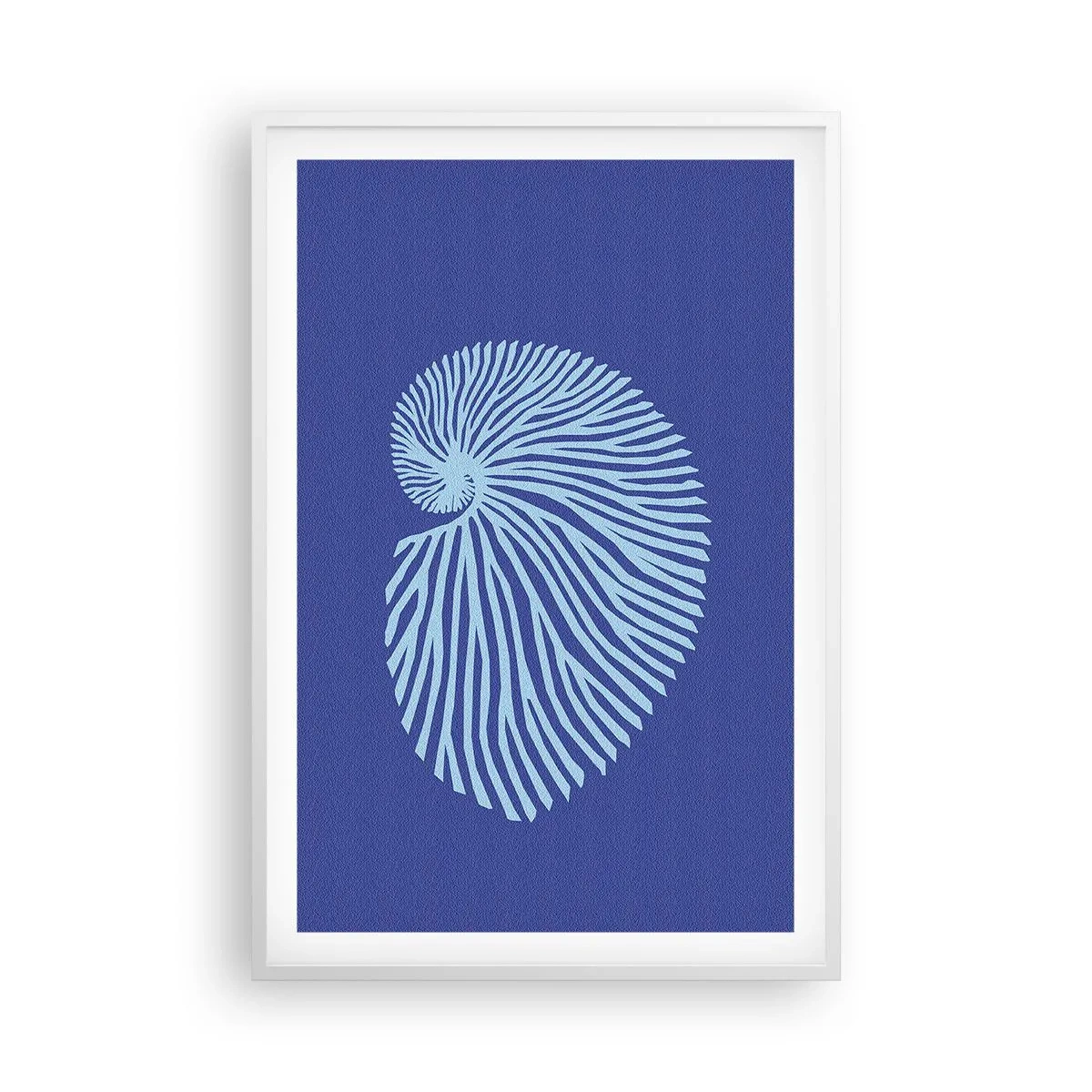 Poster in white frmae - Birth of a Shell - 61x91 cm