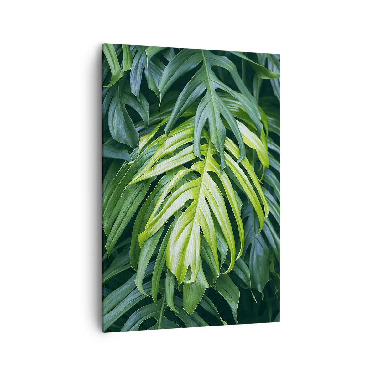Canvas picture - Immerse Yourself in Freshness - 70x100 cm
