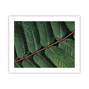 Poster - In Green Rhythm - 50x40 cm