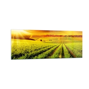 Glass picture - Under Australian Sun - 140x50 cm
