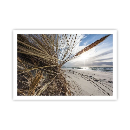 Poster - Enounter of the Elements - 91x61 cm