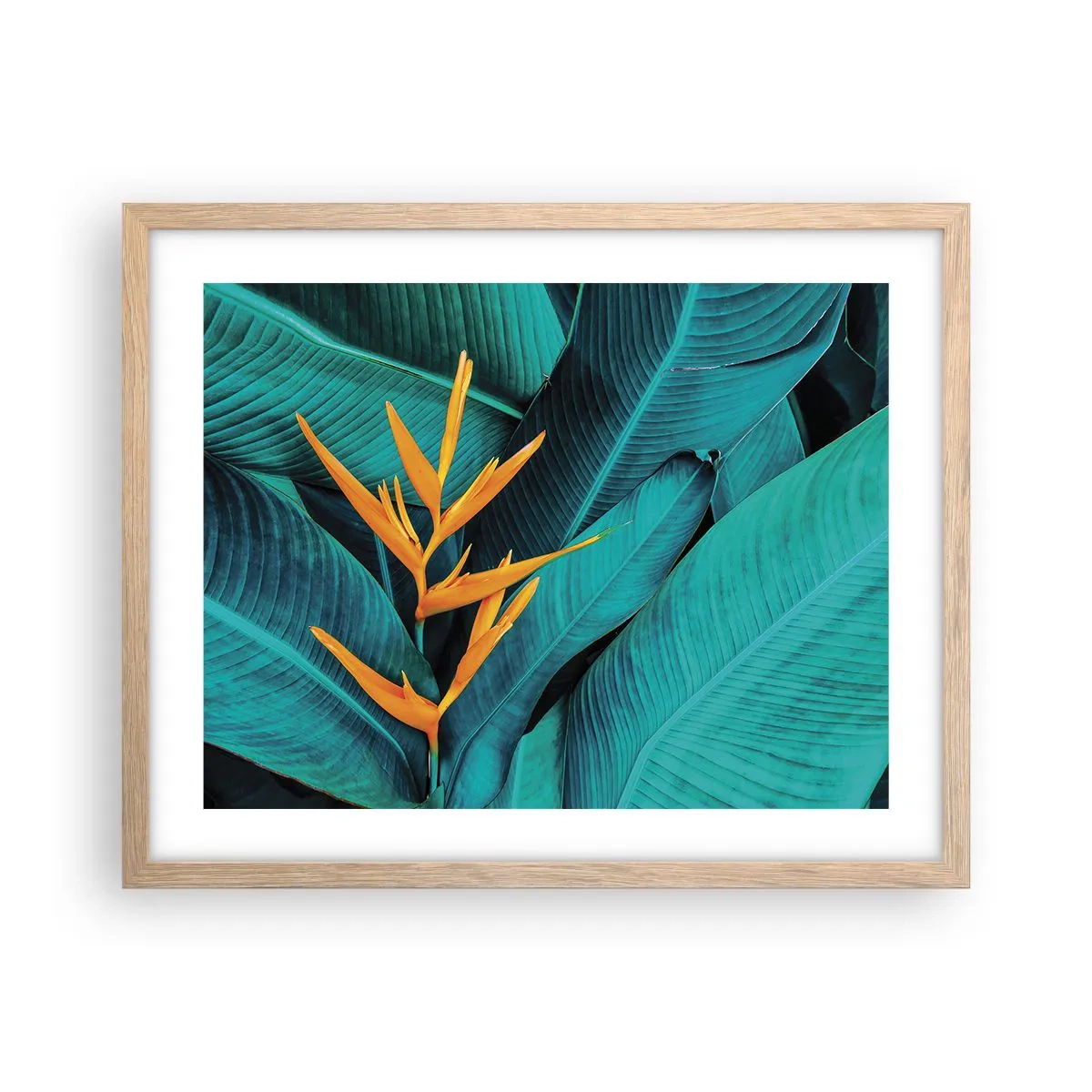 Poster in light oak frame - Flower of Eden - 50x40 cm