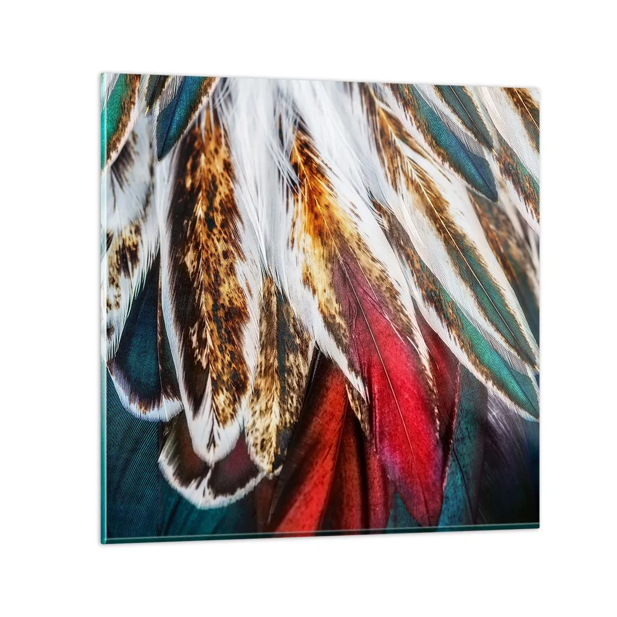 Glass picture - Secrets of Flight - 60x60 cm
