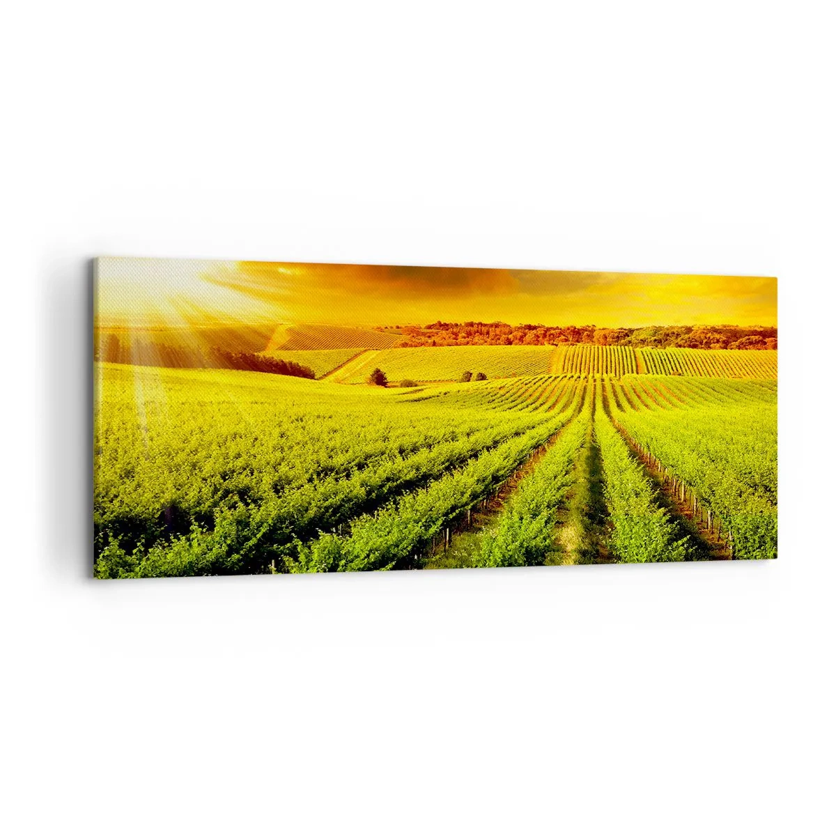 Canvas picture - Under Australian Sun - 120x50 cm