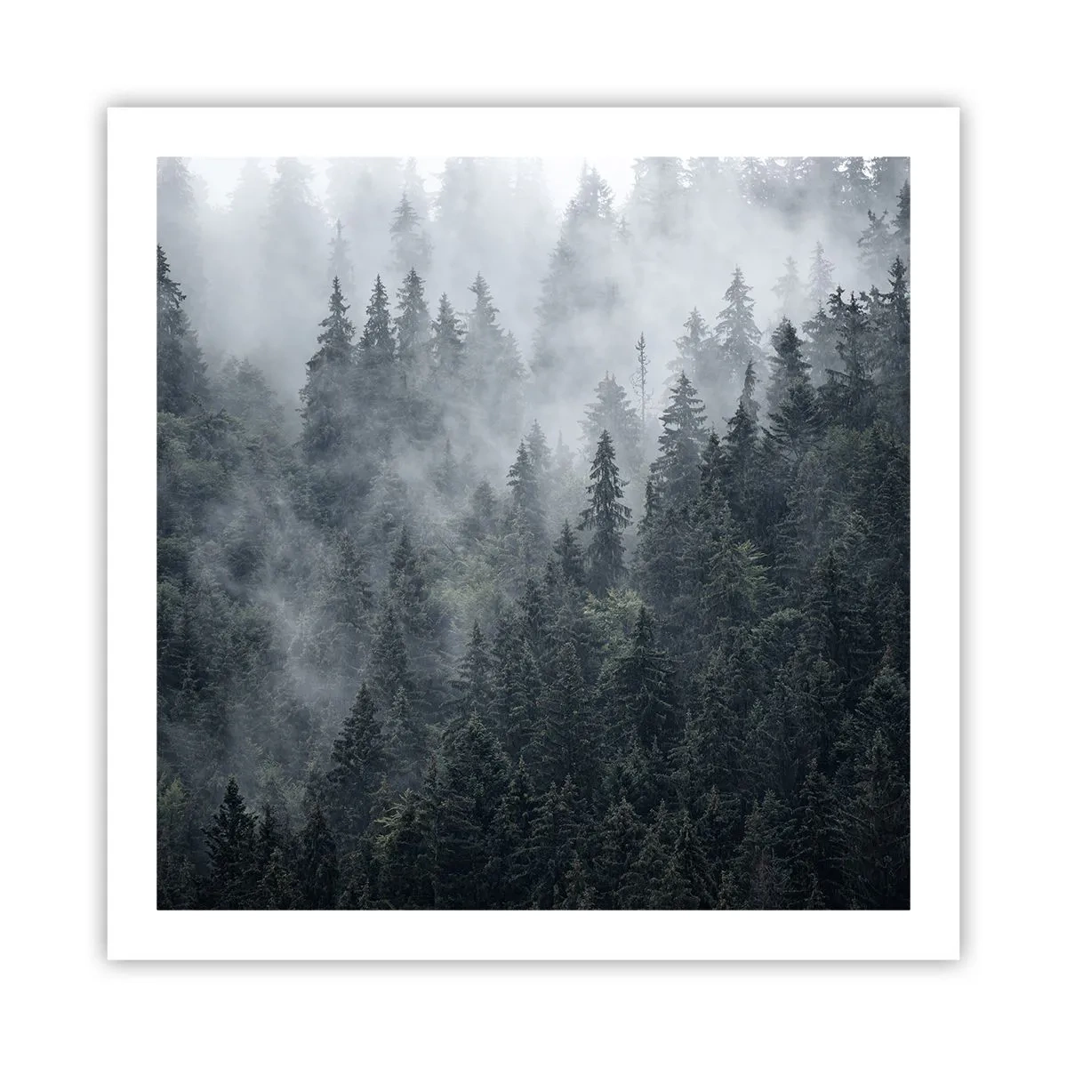 Poster - Forest World - 60x60 cm