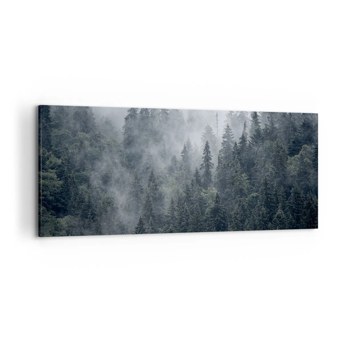 Canvas picture - Forest World - 120x50 cm