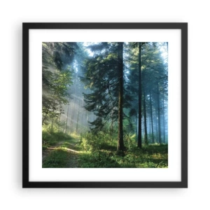 Poster in black frame - Radiant at Dawn - 40x40 cm
