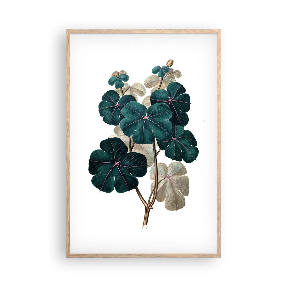 Poster in light oak frame - From the Old Herbarium - 61x91 cm