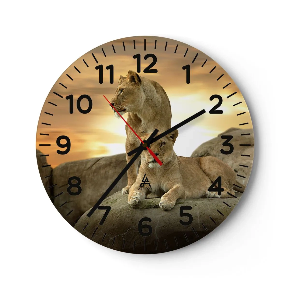 Wall clock - Clock on glass - Royal Majesty - 40x40 cm