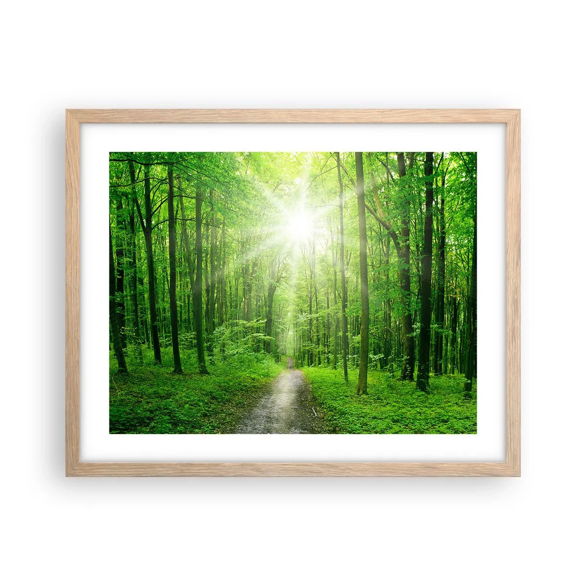 Poster in light oak frame - Green Cathedral - 50x40 cm