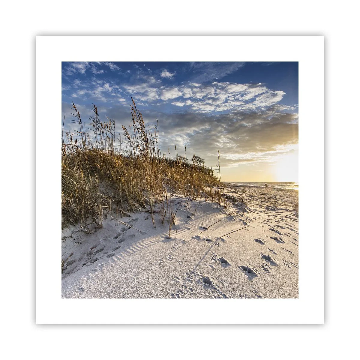 Poster - Invitation to a Walk - 40x40 cm