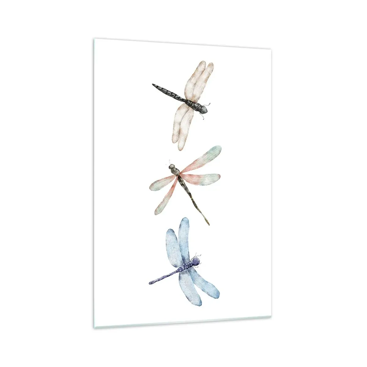 Glass picture - Lightness of Dragonflies - 70x100 cm