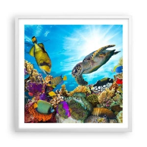 Poster in white frmae - Coral Promenade - 60x60 cm