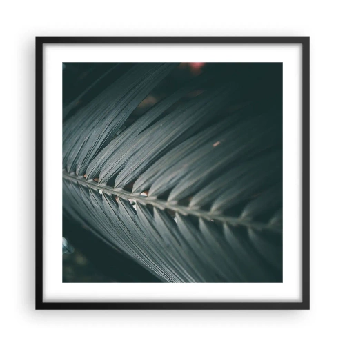 Poster in black frame - Precision of Nature - 50x50 cm
