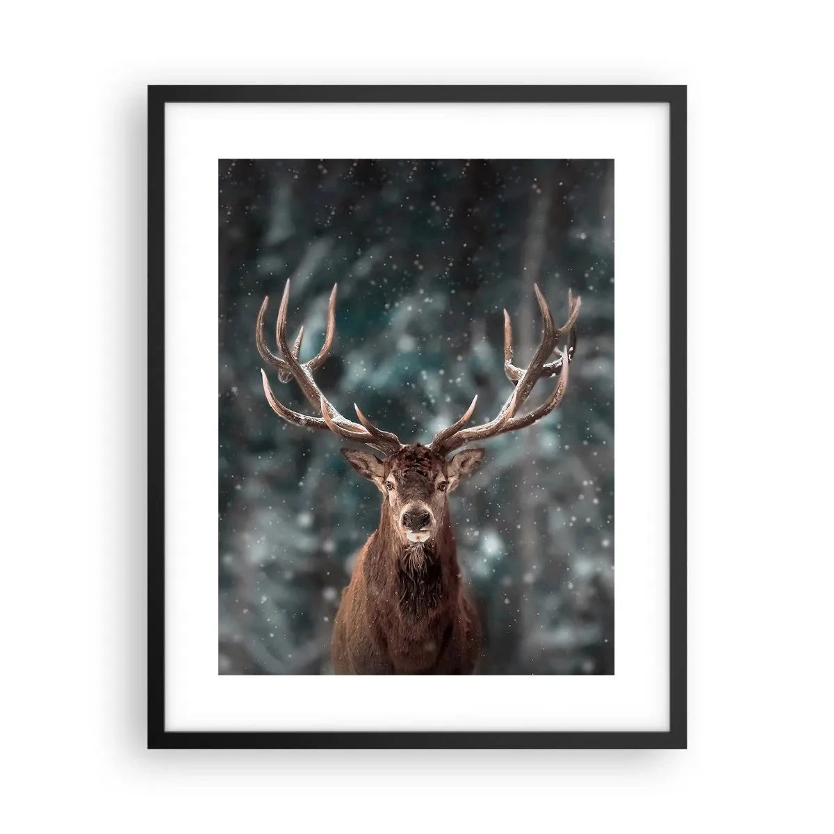 Poster in black frame - King of Forest Crowned - 40x50 cm
