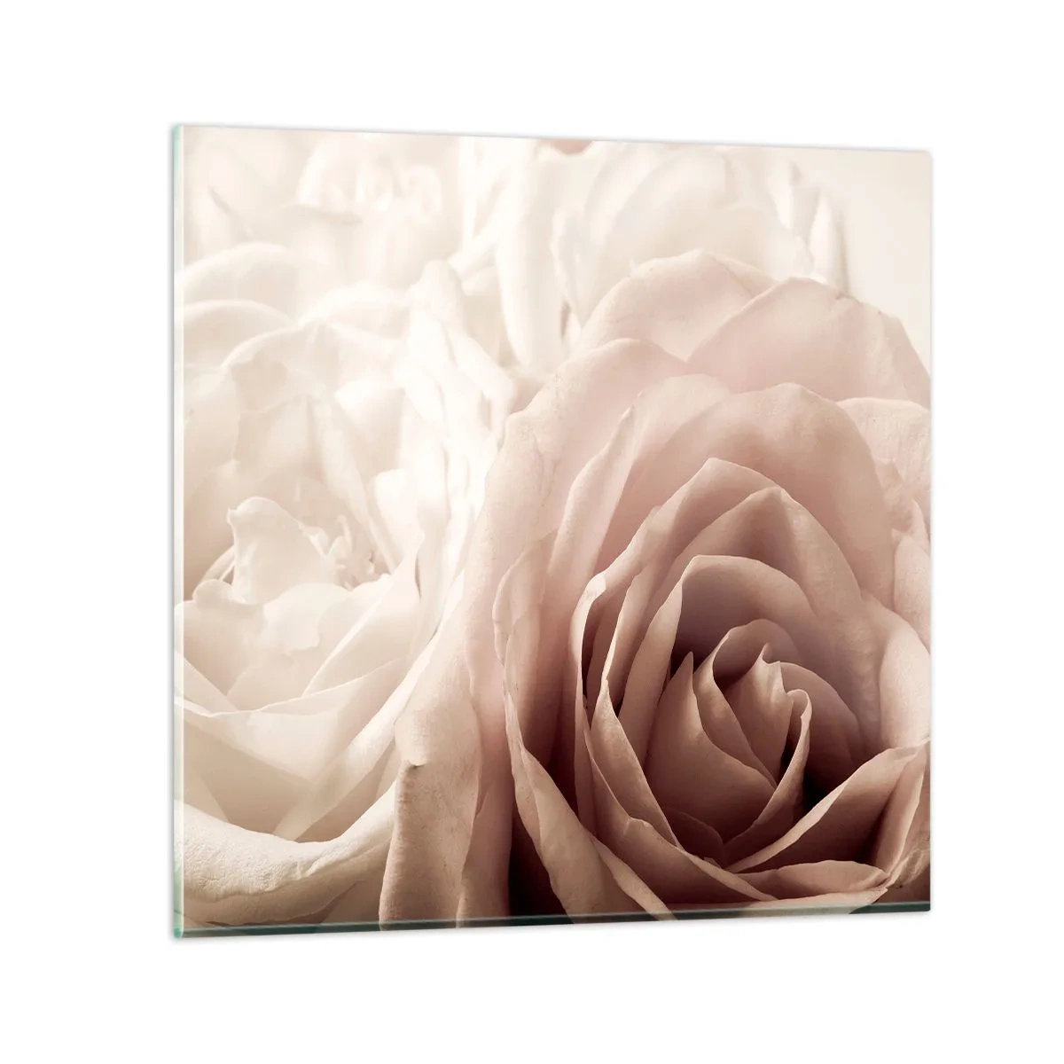 Glass picture - In the Heart of a Rose - 30x30 cm