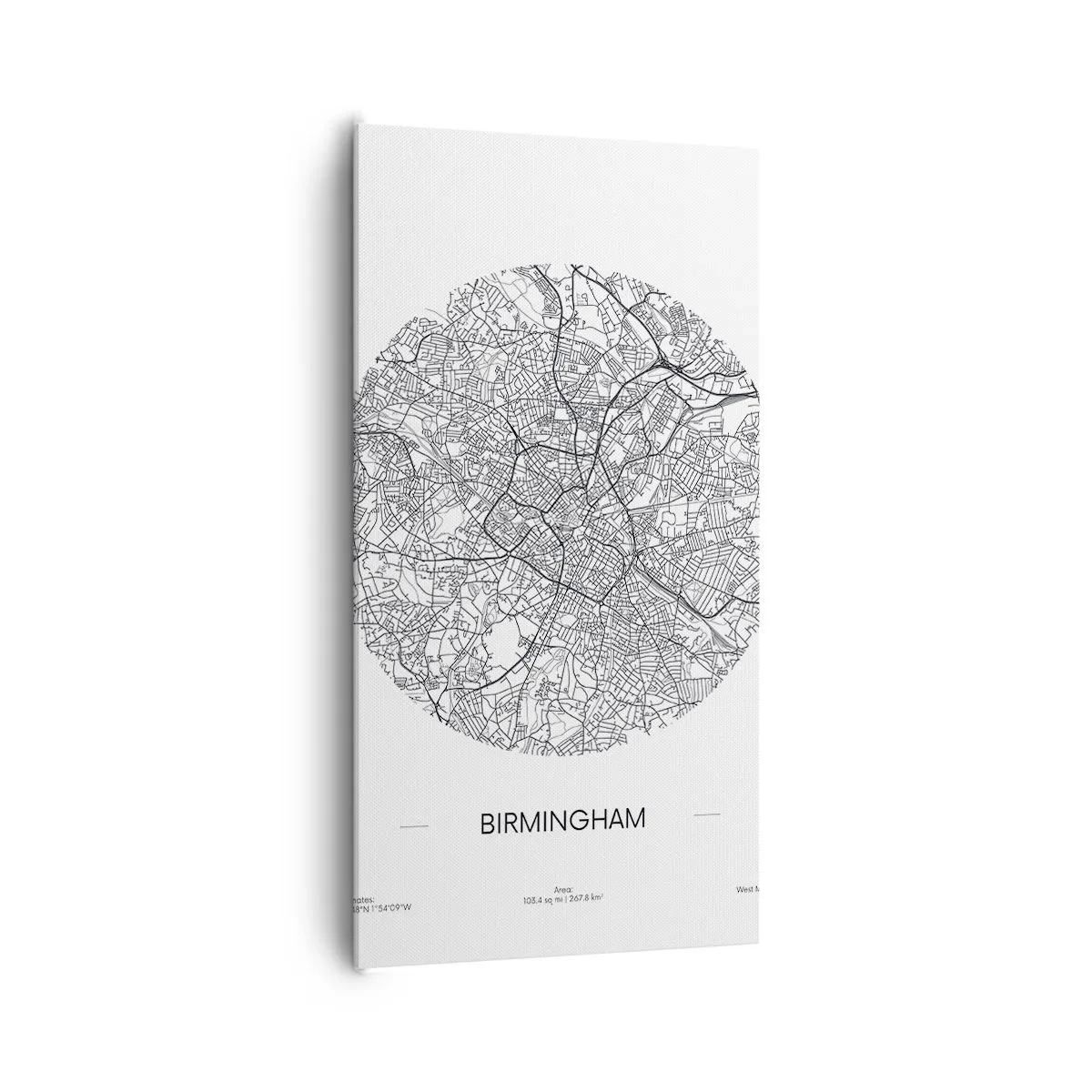 Canvas picture - Anatomy of Birmingham - 65x120 cm