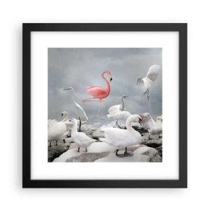 Poster in black frame - Where Did I Come from? - 30x30 cm