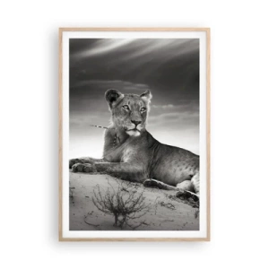 Poster in light oak frame - Queen of Desert Is Resting - 70x100 cm